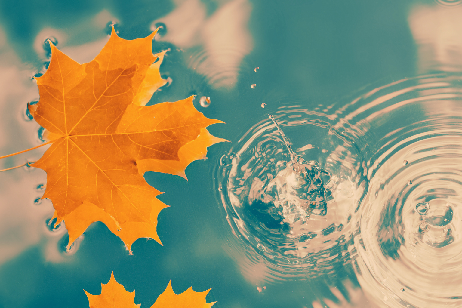 Your September Skincare Reset: Transitioning from Summer to Autumn 🍂