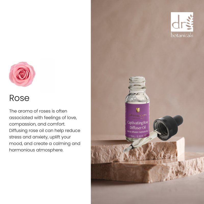 Captivating Rose Diffuser Oil 10ml - skinChemists