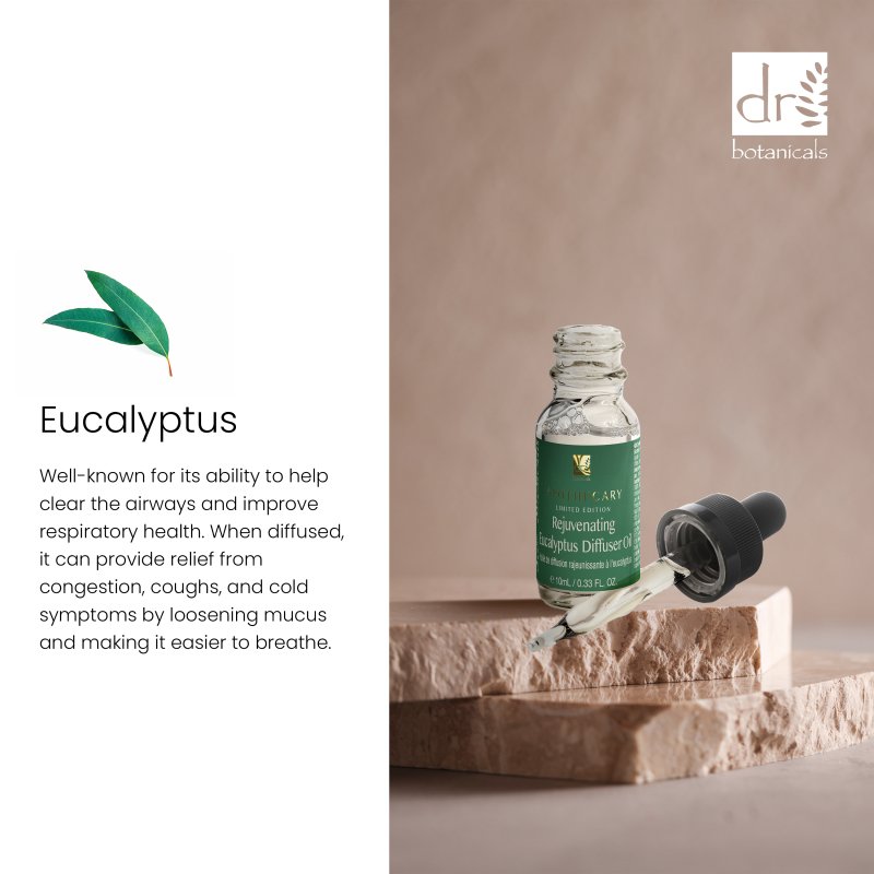 Dr Botanicals Rejuvenating Eucalyptus Diffuser Oil 10ml Twin Value Savings Pack - skinChemists
