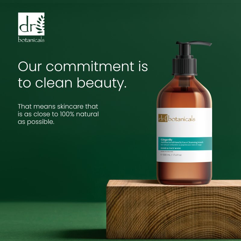 Gingerlily Antibacterial Hand & Face Cleansing Wash 500ml - skinChemists